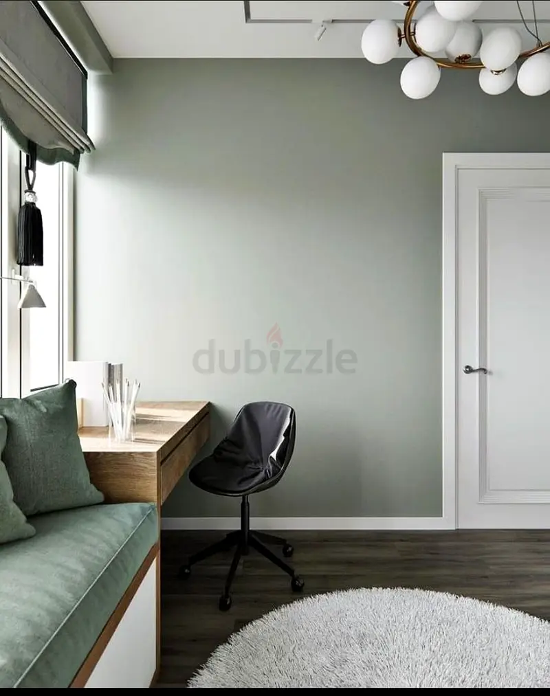 DPV_View_Image_4