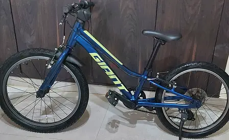 With helmet. Giant talon 20inches kids 6:8years