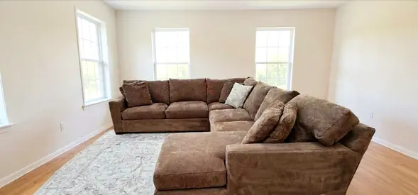 Crate&Barrel Axis feather 🪶 filled U Shape Sofa