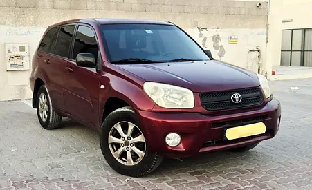 2004 Toyota RAV 4 照片 1