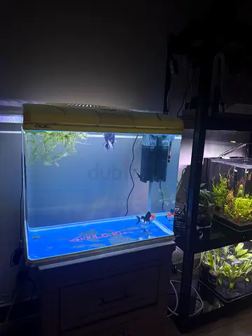 Aquarium