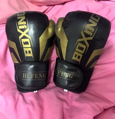 Boxing gloves + pad