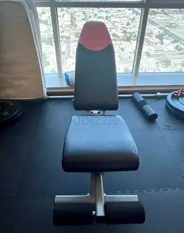 Bowflex Training Bench