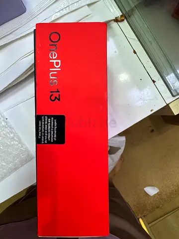 One Plus 13