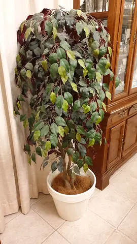 3 Large Artificial Plants with real wooden trunks