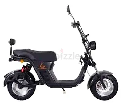 Kugoo Super Electric Scooter