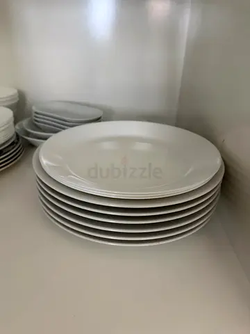 Set of 8 White Ceramic Dinner Plates - Good Condition