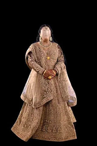 Luxury/Desi wedding dress