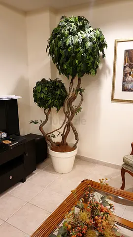 8 Large Artificial Plants with realistic-look-wooden trunks