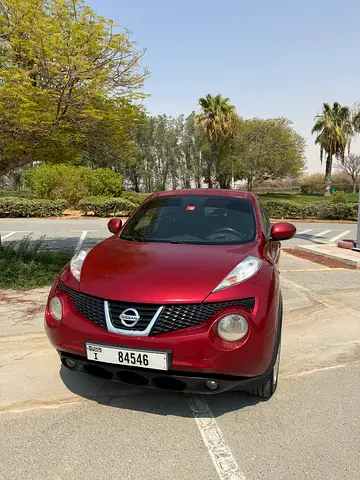 2012 Nissan JUKE 照片 2