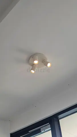Ceiling-mounted 3-Head Adjustable Spotlight Light