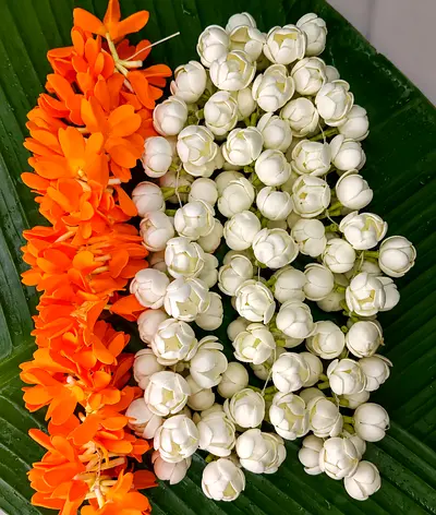 Artificial jasmin