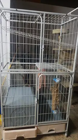 Cat  cage