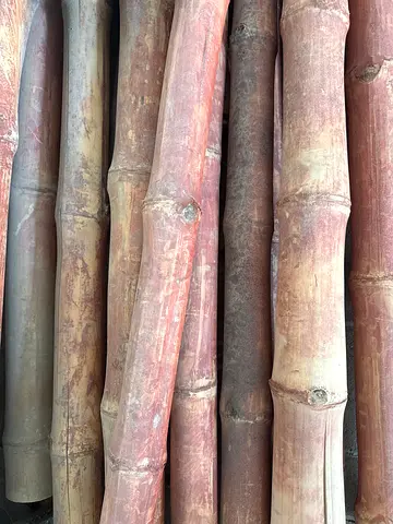 Used bamboo/palm poles – set of sturdy long poles,