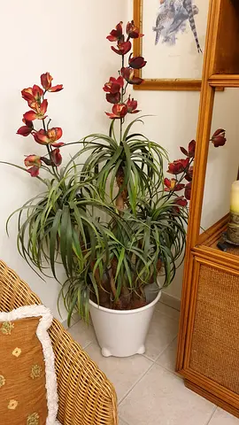 Variety of Artificial Plants with real wooden trunks