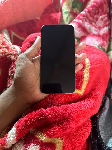 iPhone 12PM