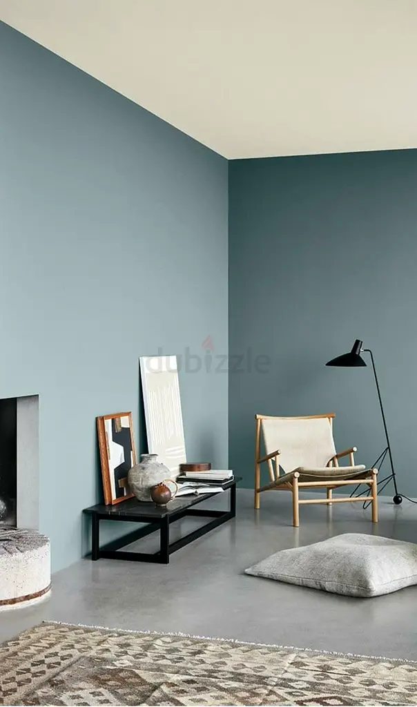 DPV_View_Image_2