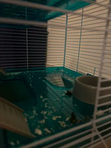 hamster cage (used for 2 weeks) perfect condition with bedding