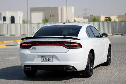 غدير الطير دبي