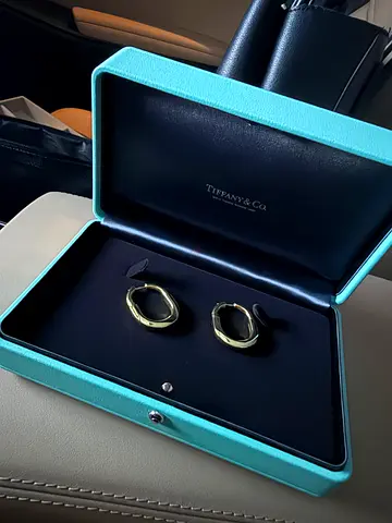 TIFFANY & Co. Earings with diamonds