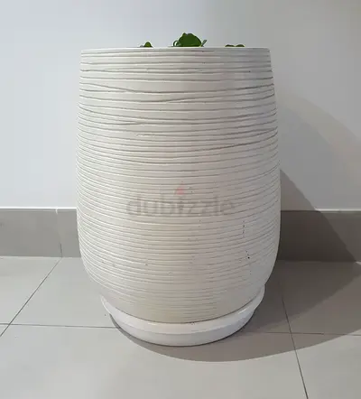 Large white textured ceramic plant pot with saucer