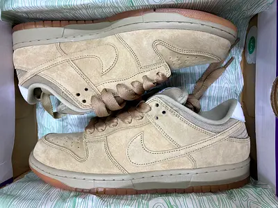 Nike SB Dunk Low PRO