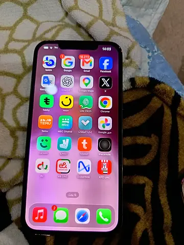 12 pro max