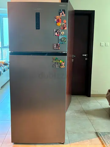 LLOYD Top Freezer Refrigerator - 2 Door, Stainless Steel Finish