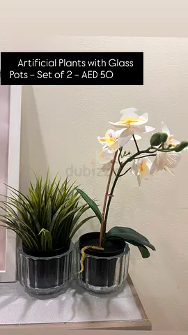 Artificial plants with glass pots