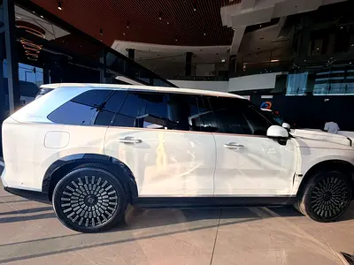 2025 Zeekr 9X 照片 19