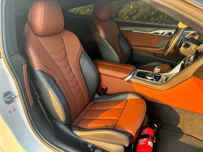 2019 BMW 8-SERIES — фото 13
