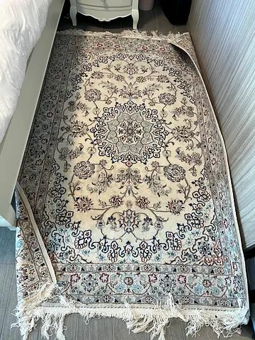 Light cream Persian-style area rug with floral medallion, 2.5 x 1.5 m (approx.)