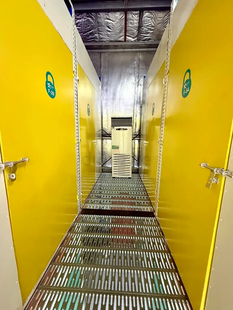 DPV_View_Image_0