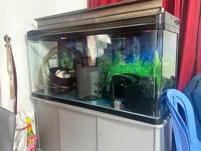 Fish tank with motor for sale