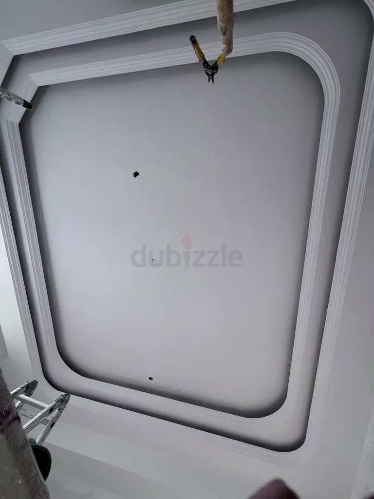 DPV_View_Image_2