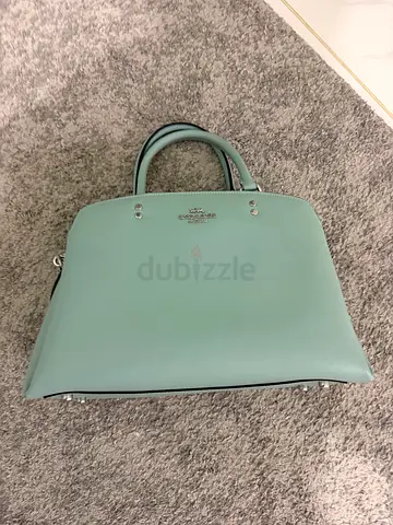Coach bag (brand new)