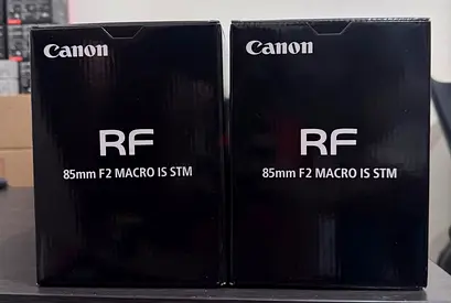 Canon RF 85mm f/2 Macro IS STM Lens