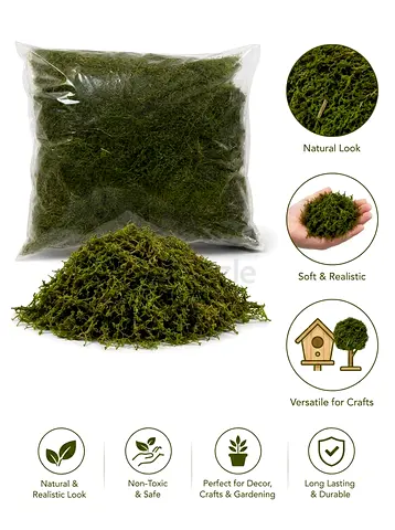 200 gram Real Dried Moss Grass for Decor and Craft