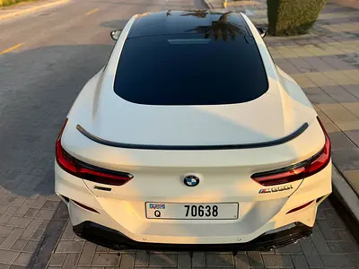 2019 BMW 8-SERIES — фото 15