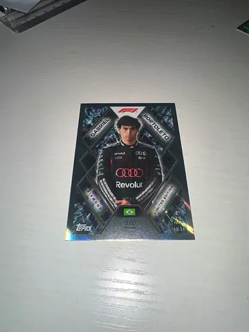Motorsport Trading Card - Driver Card (Topps) - Collectible