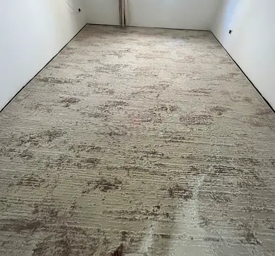 Luxurious Modern Carpet (3x4m) for Sale