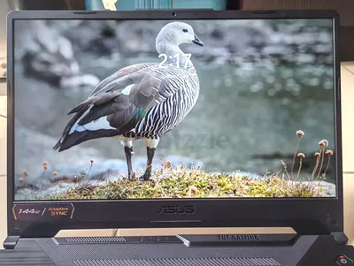 ASUS TUF Gaming Laptop - Intel Core i7, 15.6" (used)