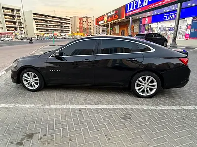 MALIBU | 2018 | LT | V4 | TOP