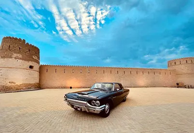 صورة 1 لـ 1964 FORD THUNDERBIRD