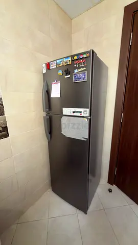 Double Door Refrigerator in Metallic Finish