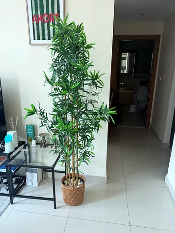 Tall Artificial Olive Tree in Woven Basket - Good Condition
