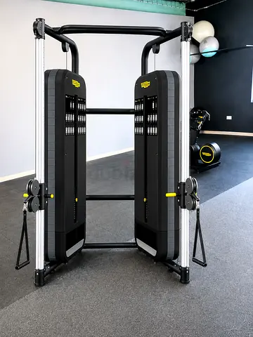 Technogym dual adjustable pulley machine