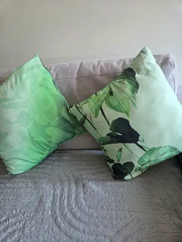 Cushions 🛋 (set of two Cushions with cover)