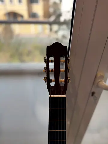 Yamaha F310 - Tobacco colored