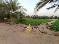 An unmissable investment opportunity: Agricultural land for sale, ideally located at the entrance of